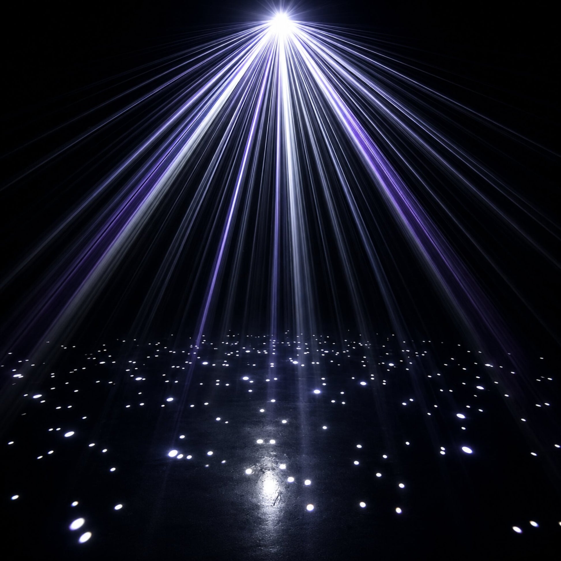 Starry night sky laser effect on trees and pathways