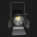 S2 professional fresnel light