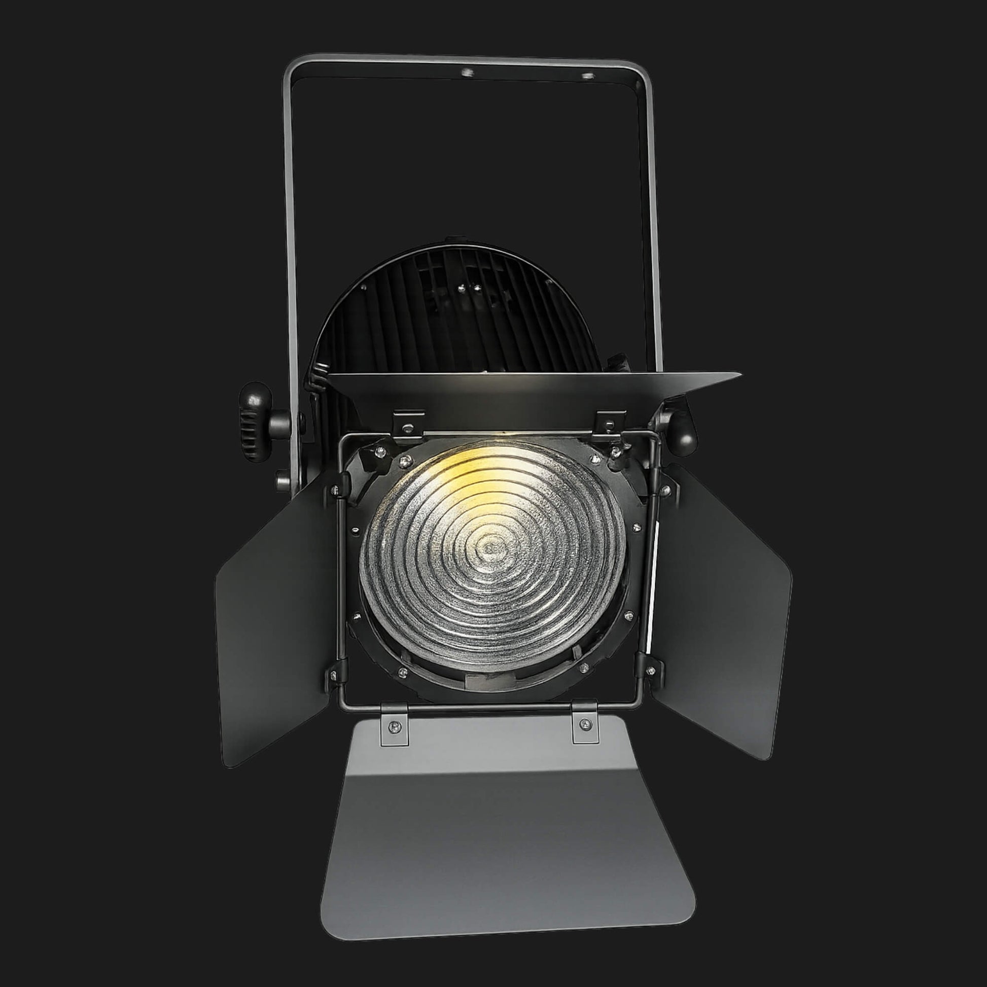 S2 professional fresnel light